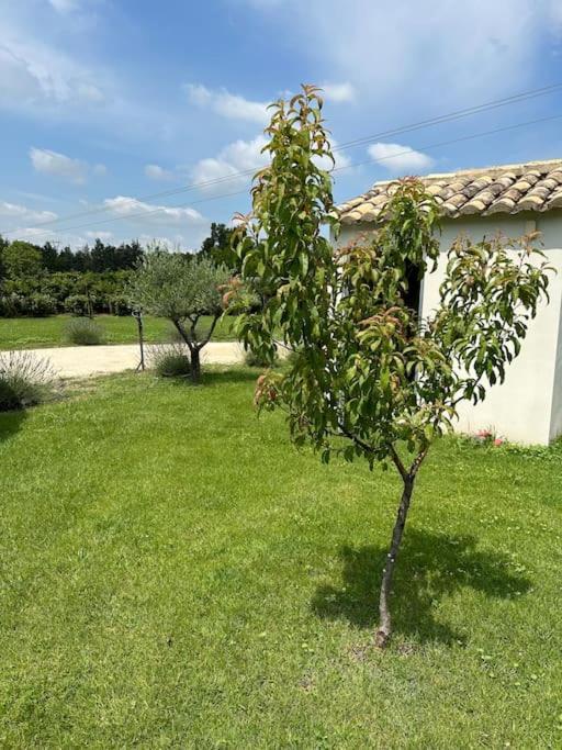 Villa Des Jacinthes Tarascon Exteriér fotografie